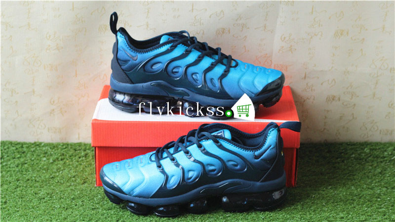 Nike Vapormax Plus Blue